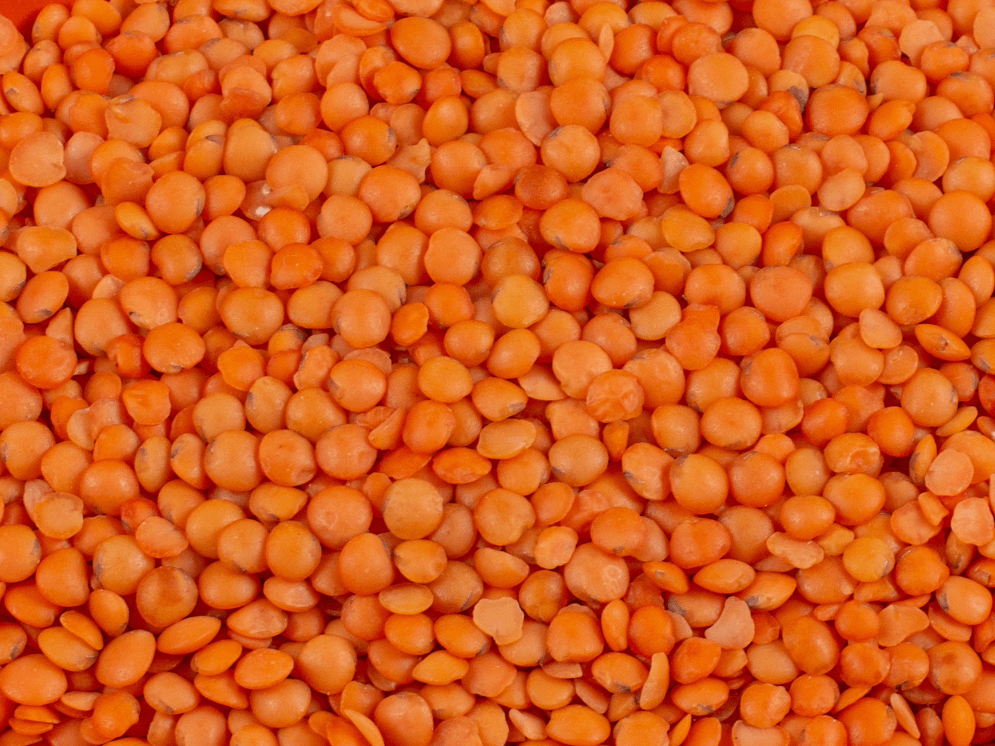 Masoor Dal
