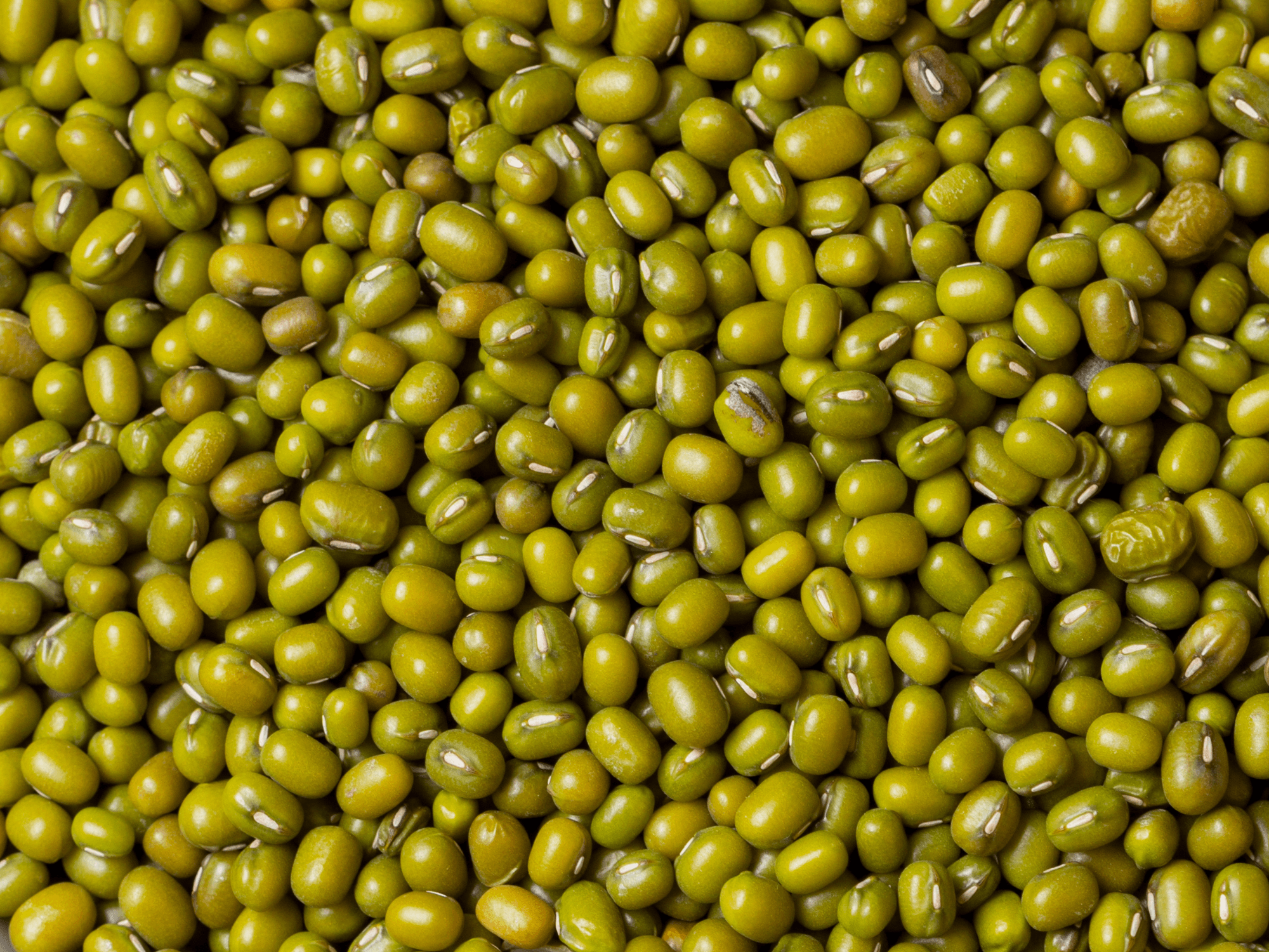 Moong Dal