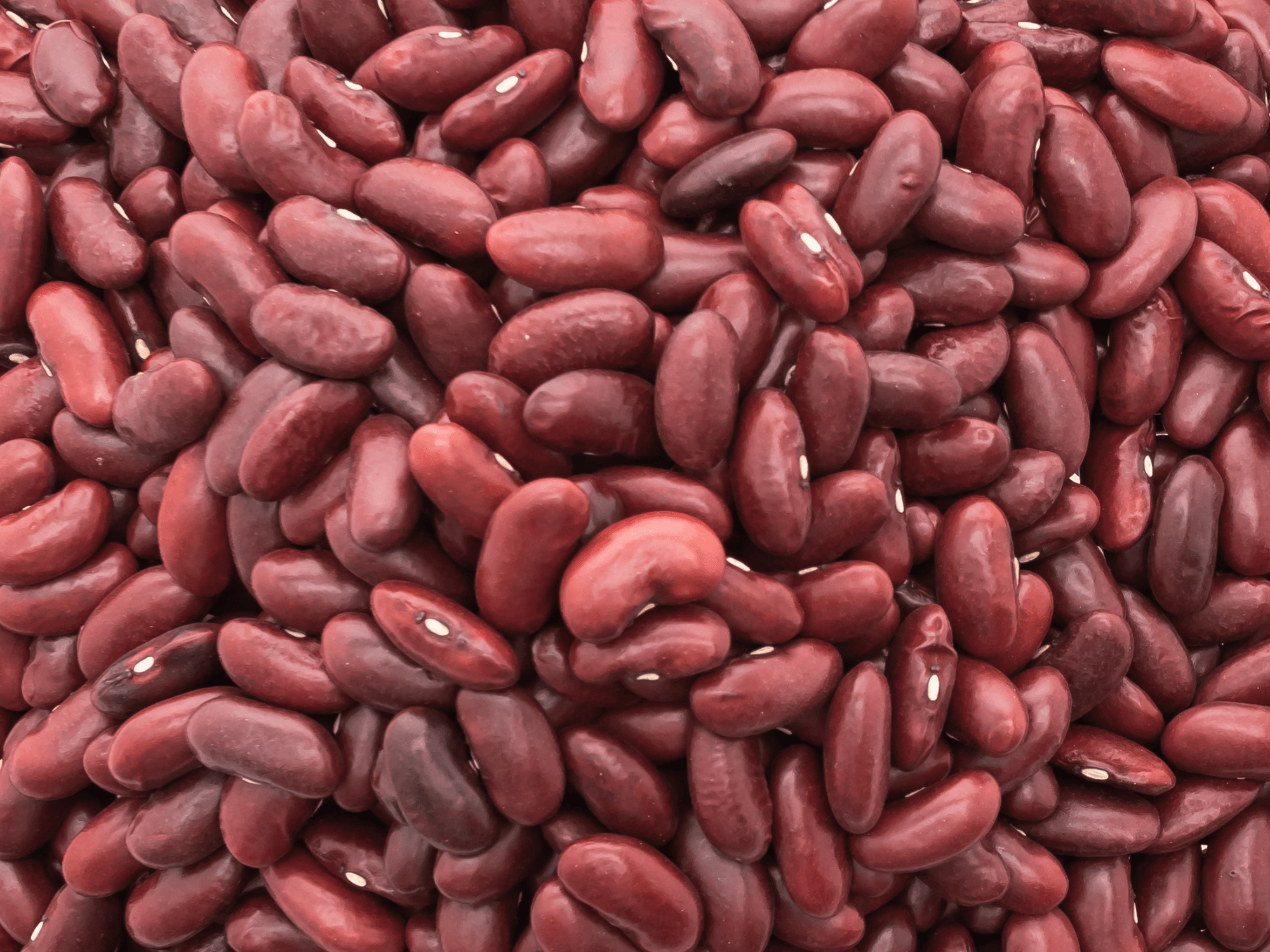 Rajma